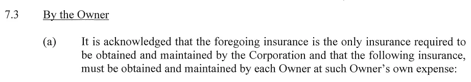 Unit owner insurance requirements from the declaration