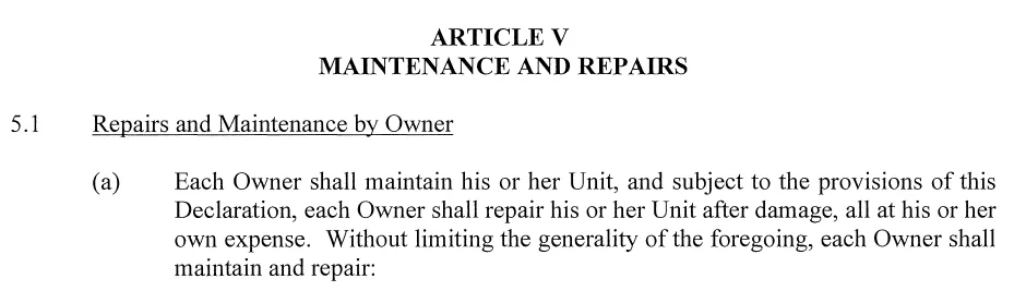 Maintenance and repairs article in a condominium declaration